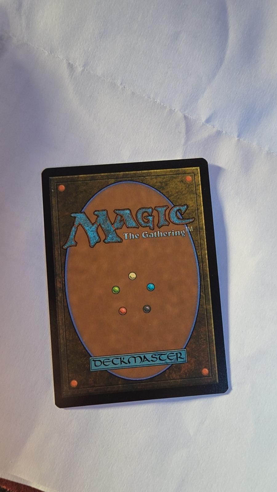Back of Dragon-Cursed Halls (Borderless) #8 – The Hobbit – Magic: The Gathering – Near Mint