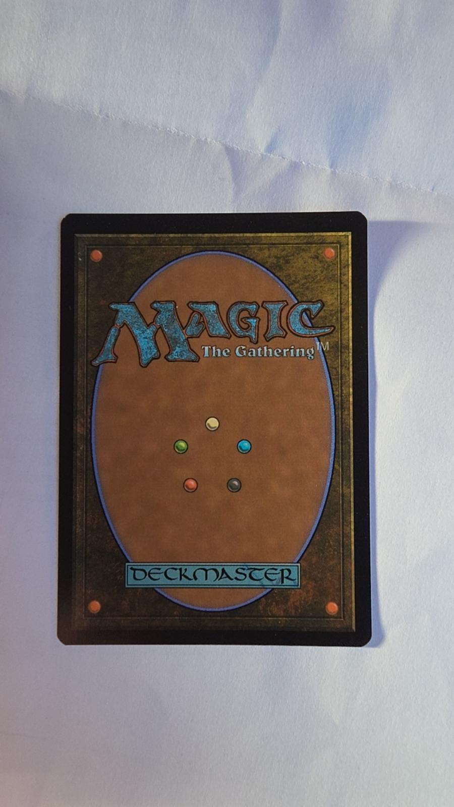 Back of Raise the Palisade (Borderless) Surge Foil #58 – The Hobbit – Magic: The Gathering – Near Mint