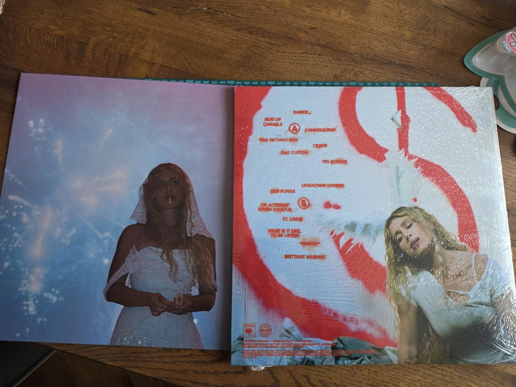 Slayyyter – Wor$t Girl in America Dirt-Filled Vinyl with Print (Bad World Exclusive)