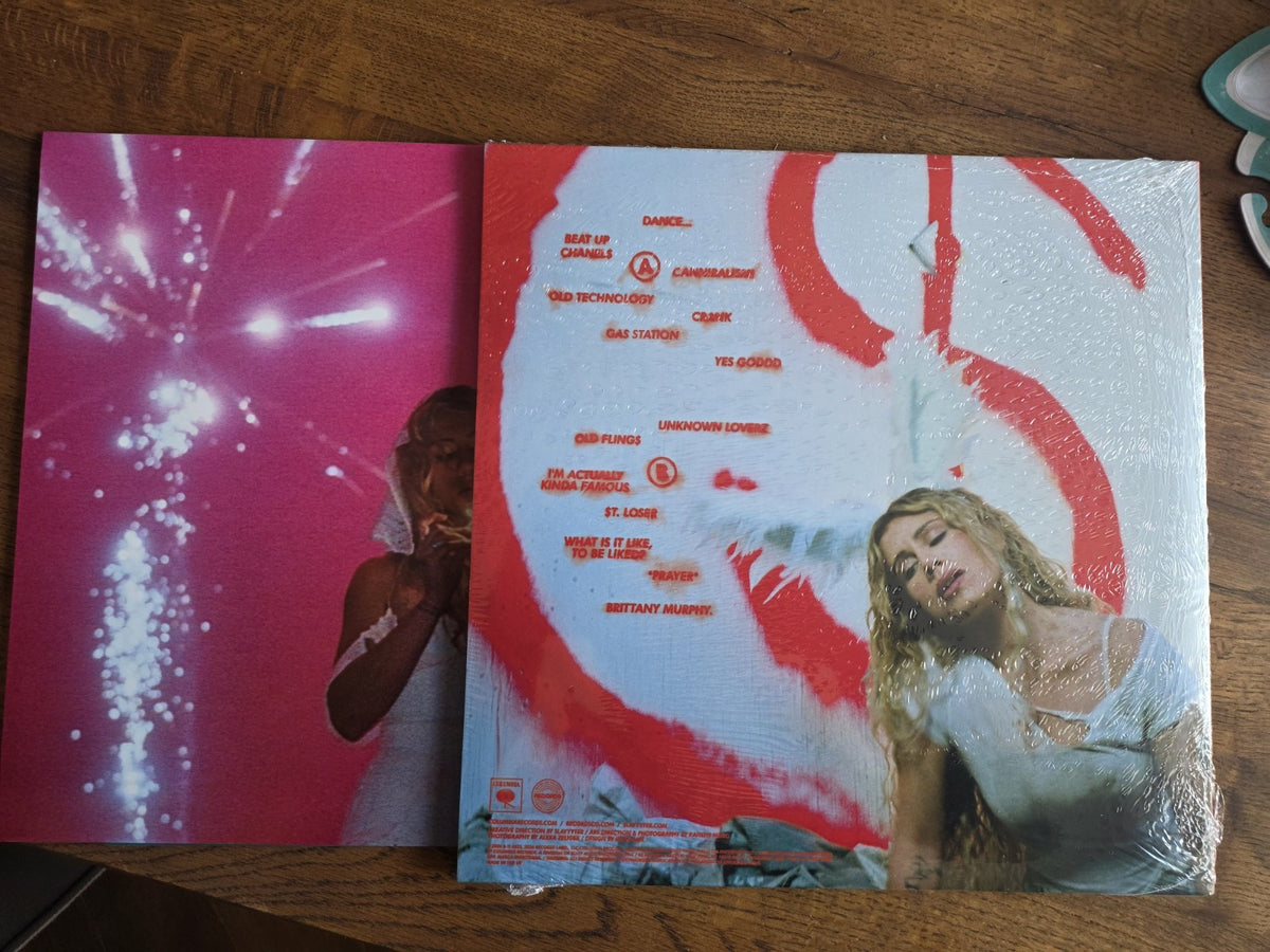 Slayyyter – Wor$t Girl in America Dirt-Filled Vinyl with Print (Bad World Exclusive)