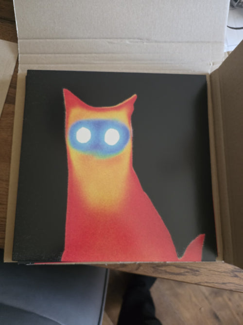 Basement – Wired Limited Edition Vinyl (Blood Records, /500)