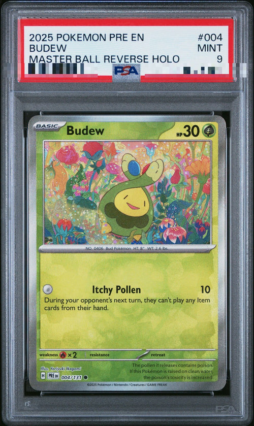 Budew PSA slab, front